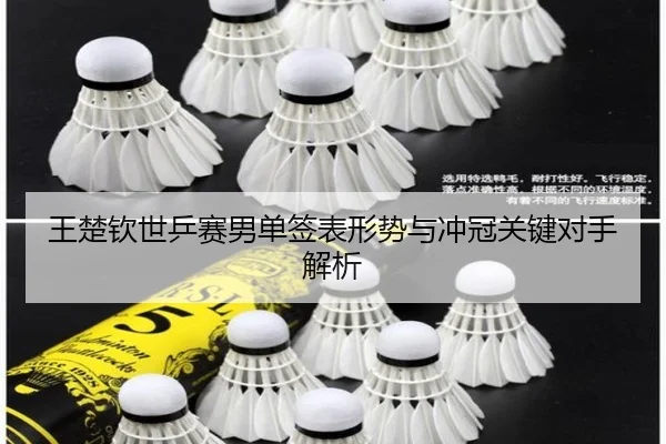 王楚钦世乒赛男单签表形势与冲冠关键对手解析